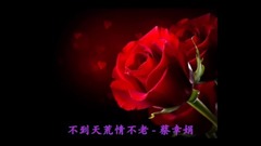 音乐短片 - 不到天荒情不老