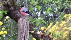 音乐短片 - 灵魂