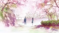 网络音乐 - 【多素材/樱花/治愈】樱花樱花我想见你