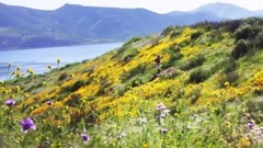 音乐短片 - Tales of the Wind - Taylor Davis (Original Song)