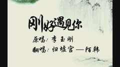 李玉刚 - 刚好遇见你 翻唱