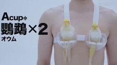 音乐短片 - 如果用动物来衡量女子胸部的重量......