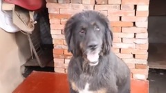 音乐短片 - 轻轻的