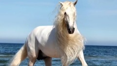 音乐短片 - KABHI BHULA KABHI