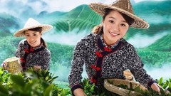 音乐短片 - 采茶舞曲