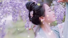 音乐短片 - 情义两心坚