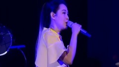 刘若英,华语群星 - 小幸运 & K歌之王 & 向前冲 & 干杯 & 光阴的故事