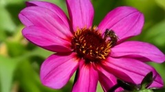 音乐短片 - Just Believe