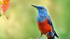 音乐短片 - Agar Tum Na Hote