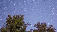 音乐短片 - 夏夜萤火虫之舞