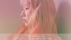 韩国群星 - Let It Rain