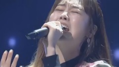 韩国群星 - 冬季玫瑰