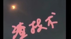 唐嫣 - 唐嫣自拍美国日全食