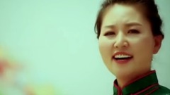 华语群星,民乐群星 - 荣誉至上