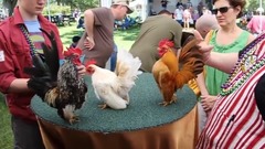 音乐短片 - Serama Cajun Classic 2012