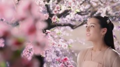 音乐短片 - 桃花诺