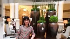 音乐短片 - 晚风