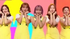 MOMO LAND - Freeze