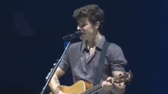 Shawn Mendes - Stitches