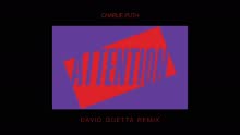 Charlie Puth,David Guetta - Charlie Puth & David Guetta - Attention REMIX试听版