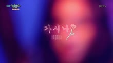 Sun Min - SUNMI - GASINA