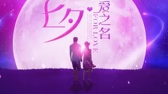 网络音乐 - 没有情人的情人节-七夕dj版
