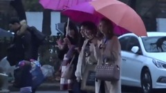 Stellar - Stellar KBS 16/02/012