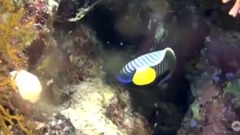 音乐短片 - On The Sea