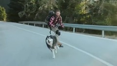 音乐短片 - 滑板型男与他的狗狗