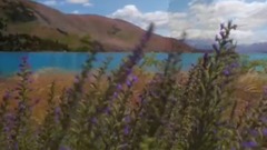 风景,音乐短片,轻音乐,乐动城市 - 水平如镜,朵朵白云