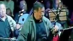 音乐短片 - 朝阳沟选段 银环下山