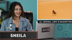 音乐短片 - 美国大学生看MAJOR LAZER - SUA CARA