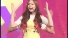 MOMO LAND - Freeze