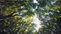 音乐短片 - I'M ALIVE