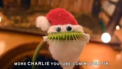 音乐短片 - 捕蝇草吹泡泡