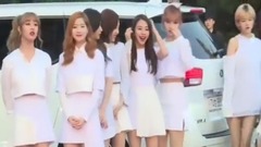 TWICE,BLACKPINK - Asia Artist Awards红地毯 ENEWS新闻报道 2016