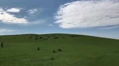 音乐短片 - 天边