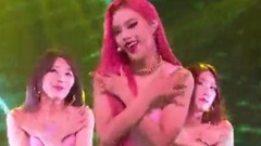 韩国群星,韩国综艺 - Pink Lady
