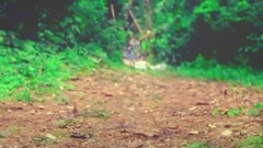 B.A.P - HONEYMOON (Trailer 1)