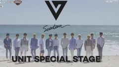 Seventeen - Swimming Fool&口头禅&Check In