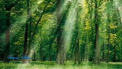 音乐短片 - Bliss