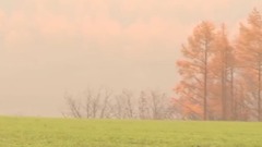 音乐短片 - 沉思曲