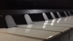 音乐短片 - 恶法额