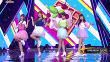  - L.U.B - DARLING MY SUGAR - KBS音乐银行 现场版 17/09/01