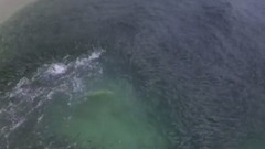 音乐短片 - Epic Drone Footage of the Florida Mullet Run - 4K