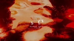 欧美群星 - S Ex