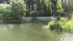 群星 - 常州 湿地公园