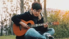 华语群星 - 吉他弹唱《安河桥》