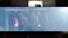 Britney Spears,Stellar - 位于天国的真理之树 & Toxic Remix