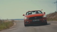 Instinct - Zlodej slnečníc